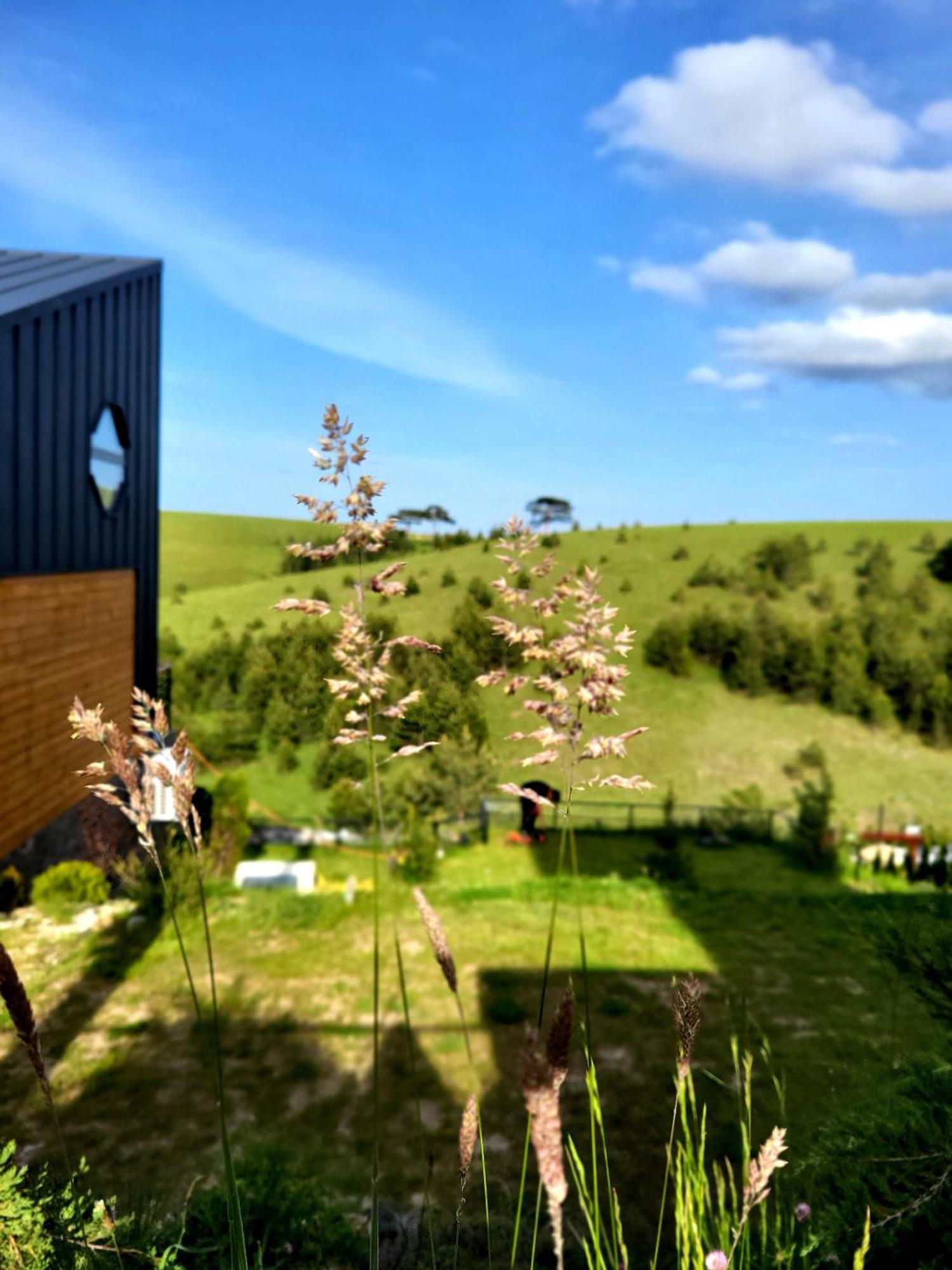 Huut Villa Zlatibor Eksteriør billede